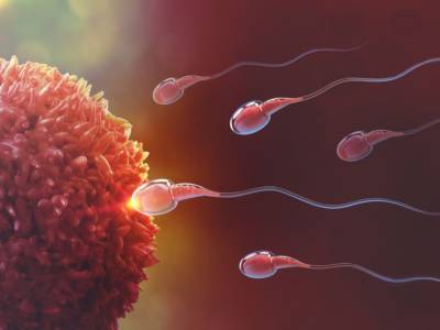 Fecondazione Assistita