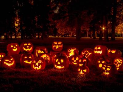 DG News – Speciale Halloween – Puntata del 29 ottobre 2014