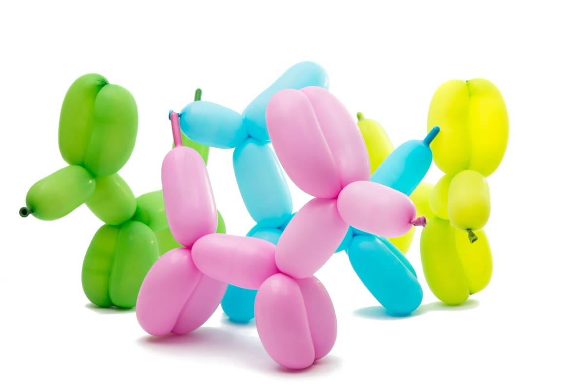 Palloncini Forme Cane