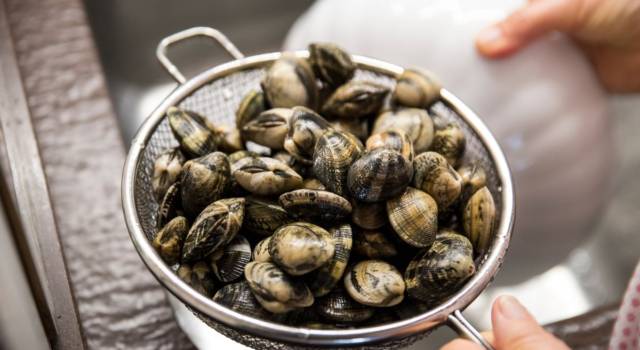 Quanto Tempo Devono Spurgare Le Vongole