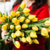Le più belle frasi sui tulipani