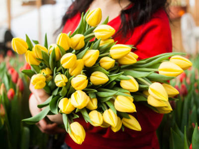 Significato bouquet sposa tulipani