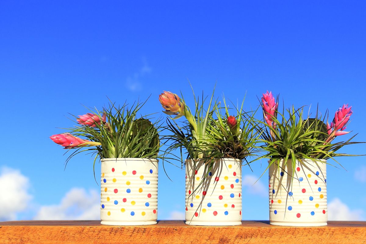 barattoli riciclo vasi latta