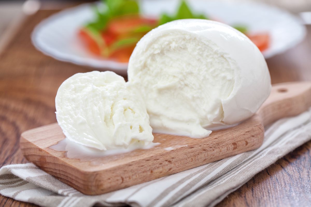 mozzarella di bufala