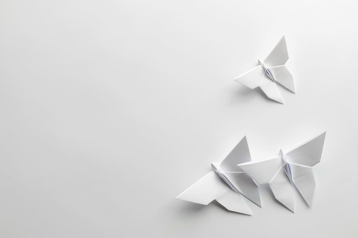 farfalla carta origami