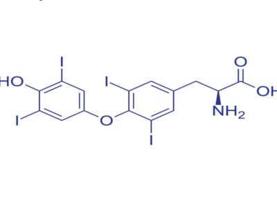 formula levotiroxina