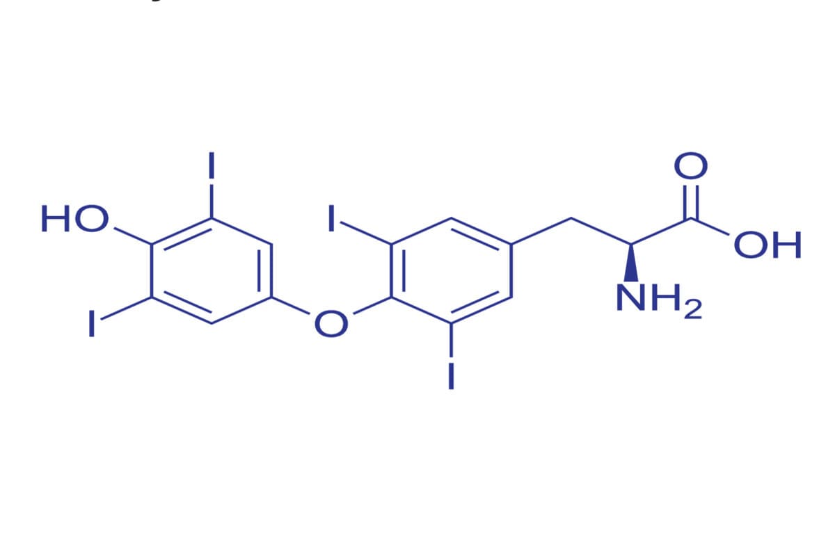 formula levotiroxina