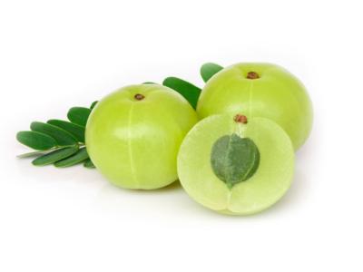 frutto verde amla
