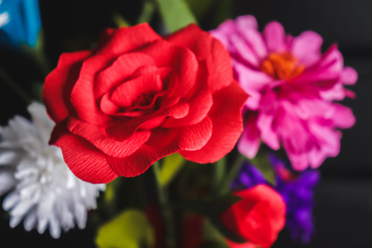 rosa carta crespa fiori