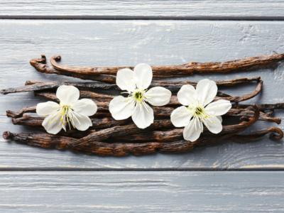 bacca vaniglia fiore