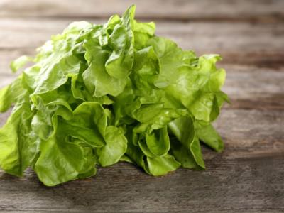 lattuga
