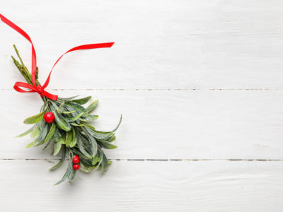 rametto vischio segnaposto