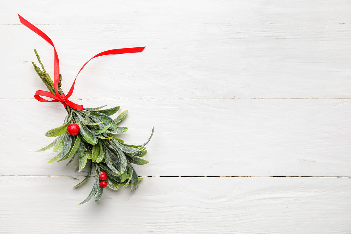 rametto vischio segnaposto