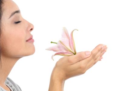 annusare fiore profumato naso profumiere