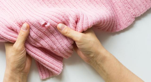 Come eliminare tarme della lana