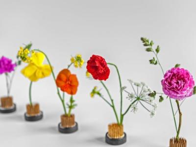 composizione fiori ikebana kenzan