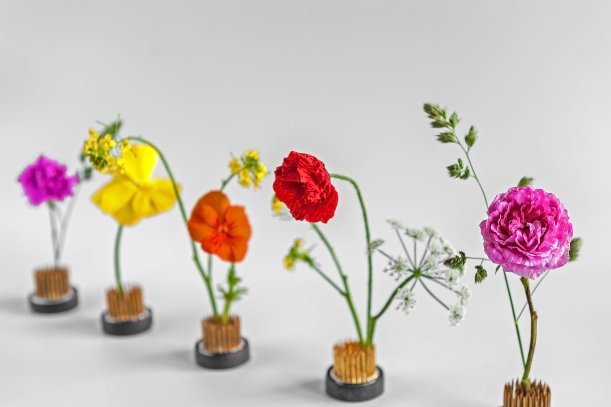 composizione fiori ikebana kenzan