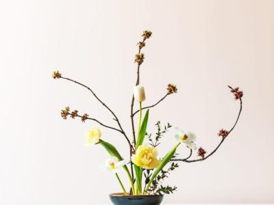 fiori composizione ikebana seika