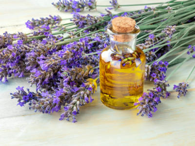 lavanda olio essenziale