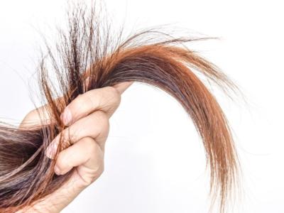 punte chioma capelli donna