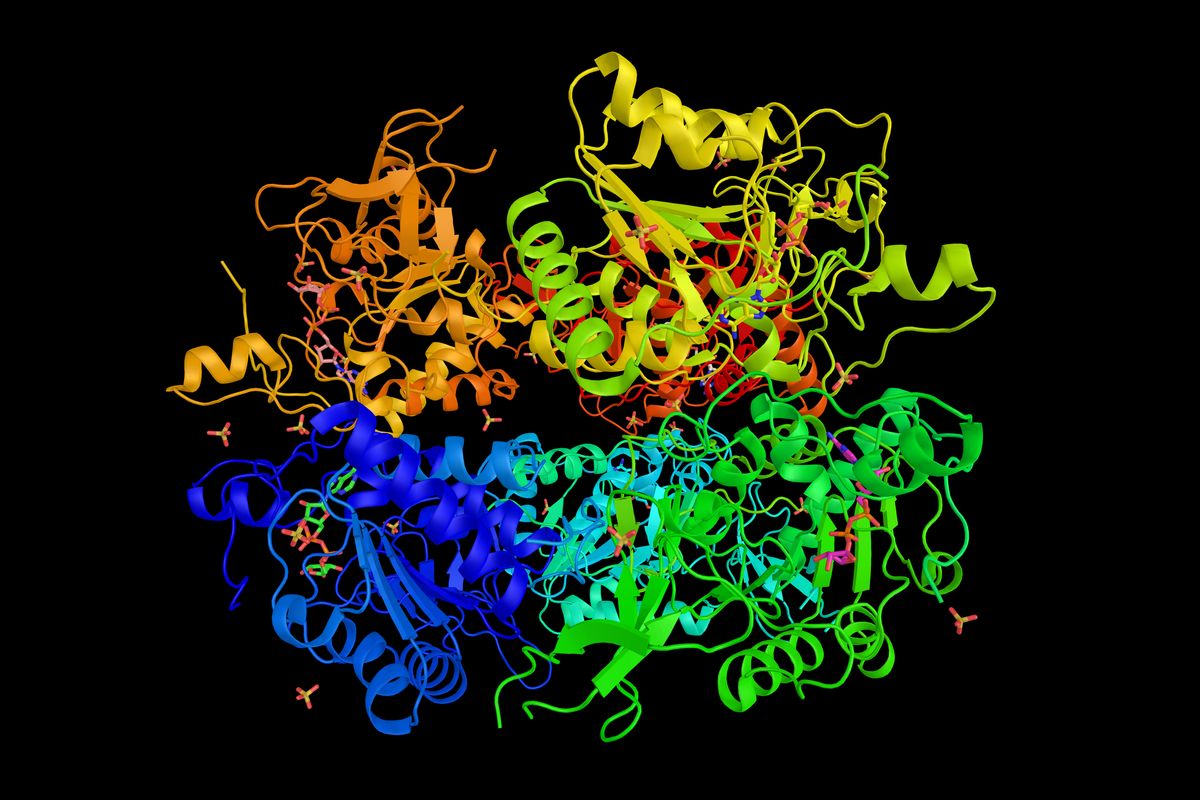 spirali colorate sirtuina