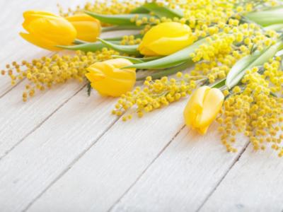 tulipani gialli e mimose