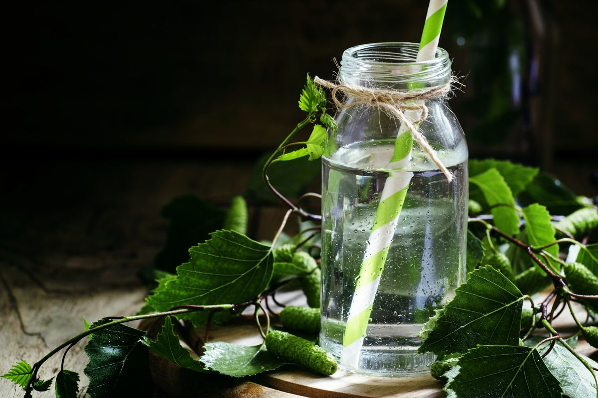 Acqua di betulla