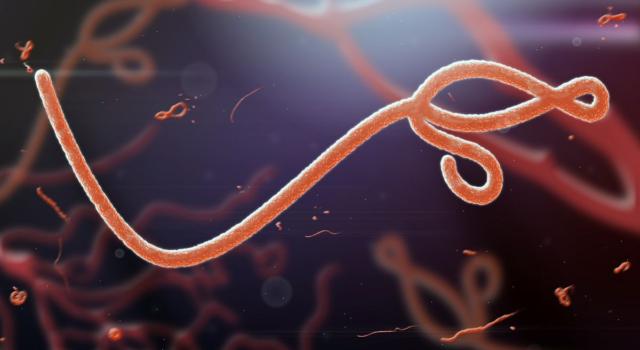 Cos&#8217;è il Virus Ebola?