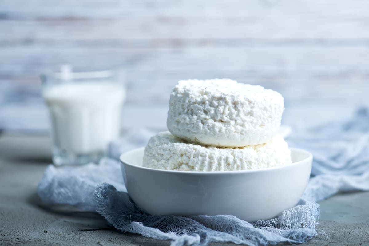ricotta formaggio