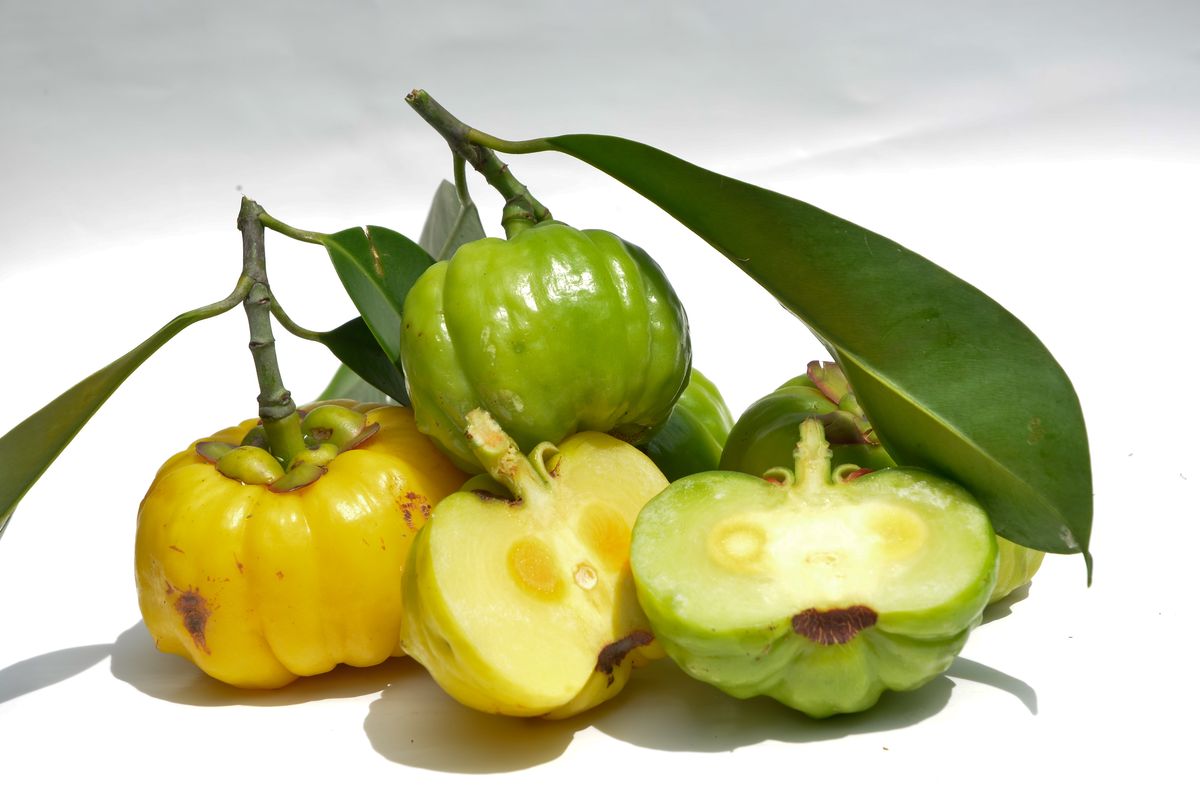 Garcinia cambogia