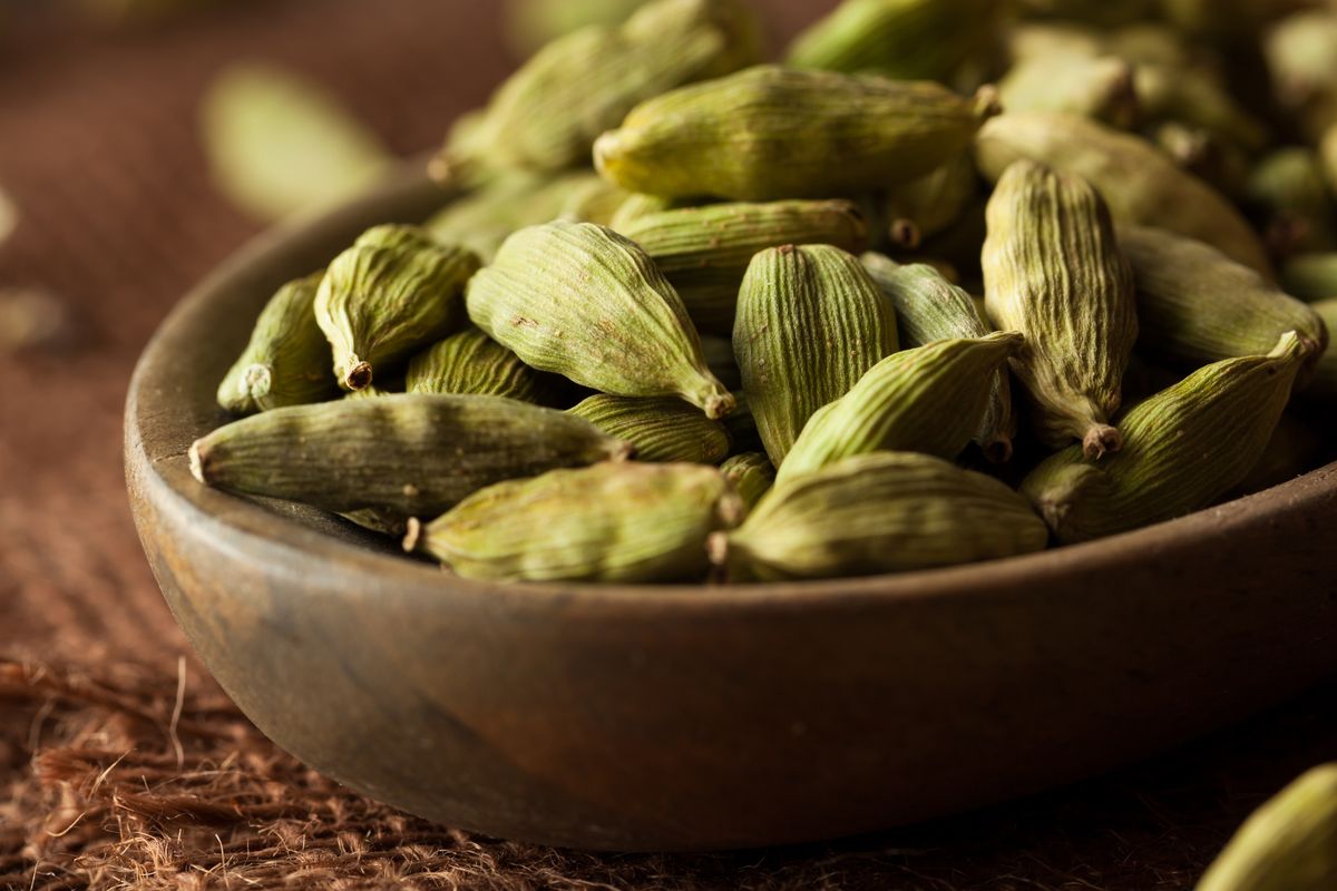 cardamomo