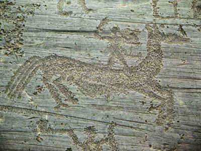 Val Camonica Arte Rupestre