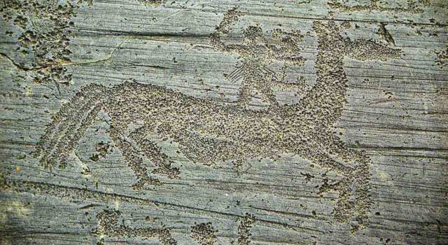 Siti Unesco: dove si trova l’arte rupestre della Val Camonica