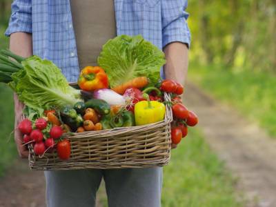 Gli alimenti biologici, più antiossidanti e meno metalli pesanti
