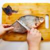 Si può mangiare pesce in gravidanza?