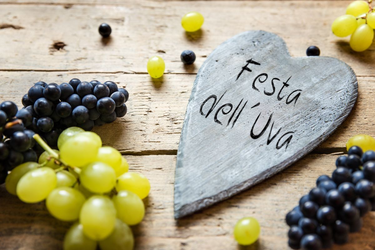 Festa dell'uva