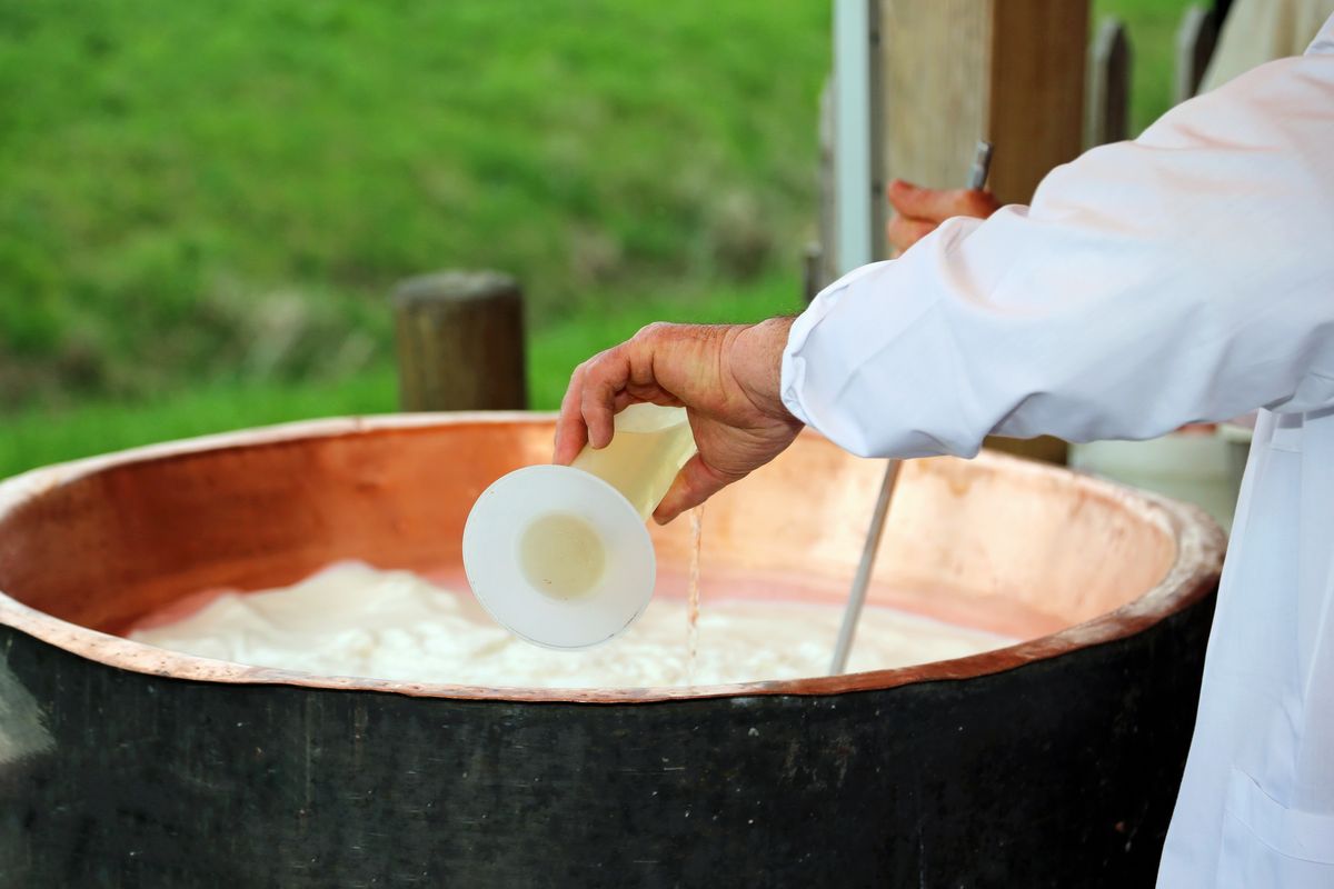 lavorazione formaggio caglio