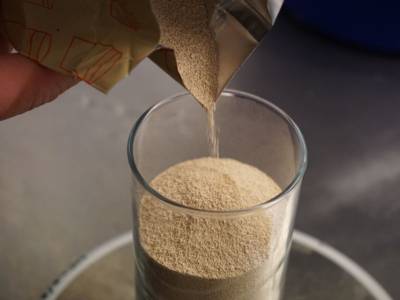 Lievito di birra secco