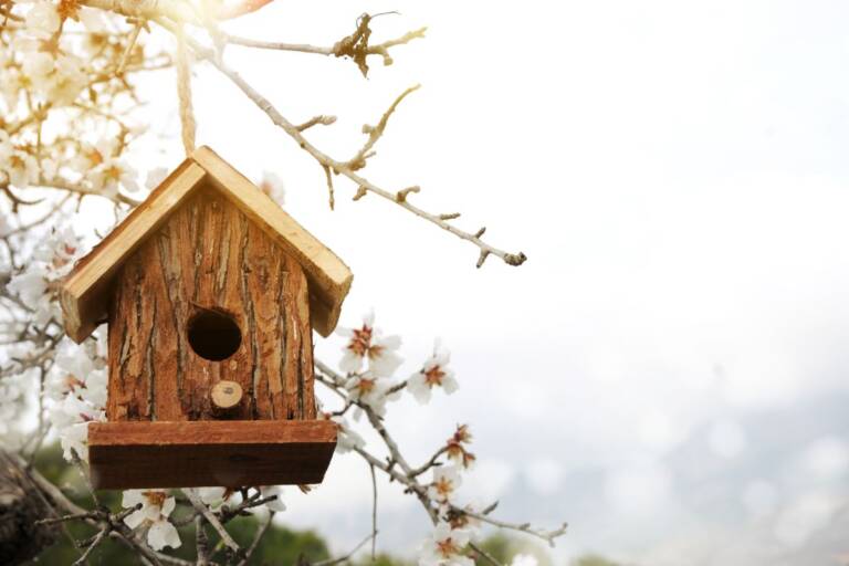 Mangiatoia Per Uccelli Da Esterno – Regalo Di Pensionamento Originale Per Donna/Uomo, Con Messaggio Ispirato, Resistente Alle Intemperie, 2 Posatoi, Per Giardino E Terrazzo