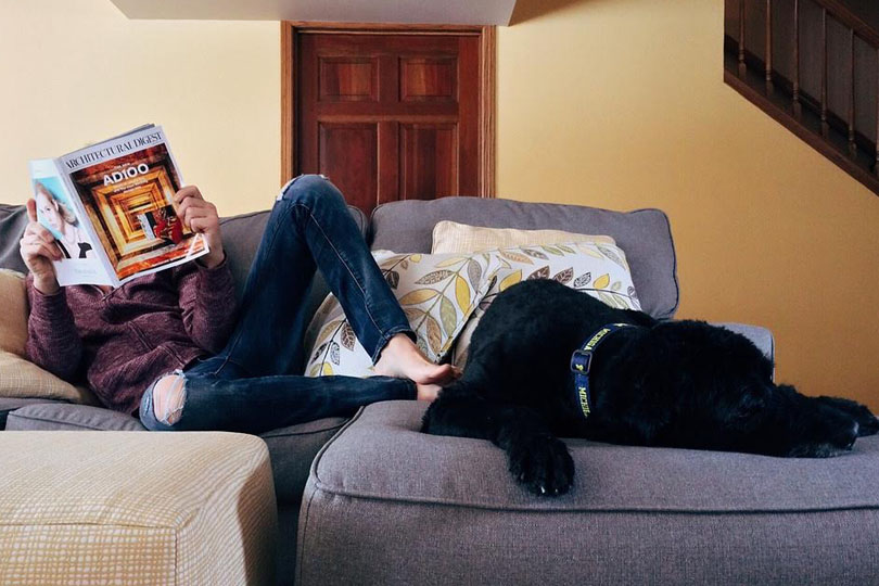 Coinquilino perfetto