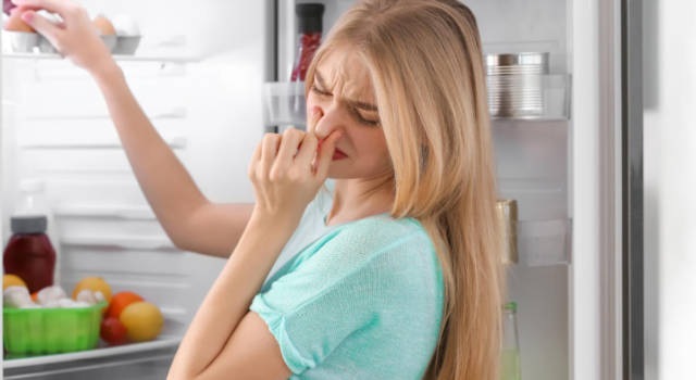 Il tuo frigorifero sprigiona cattivi odori? Eliminali con i rimedi casalinghi