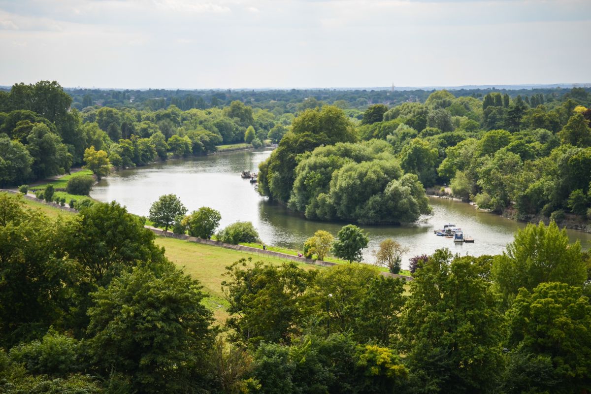 Richmond park Wimbledon