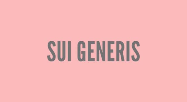 Cosa significa sui generis?