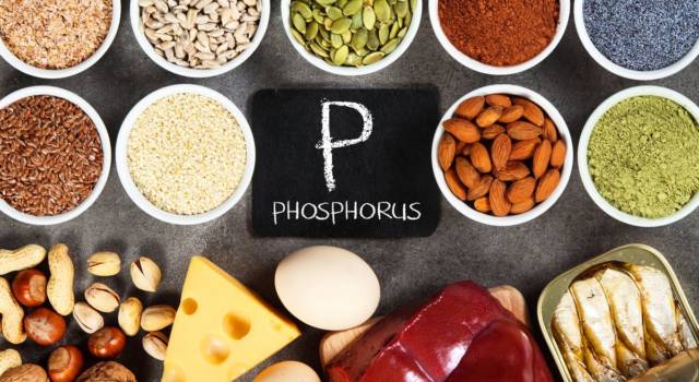 Aumentare la memoria con l&#8217;alimentazione: ecco i cibi più ricchi di fosforo