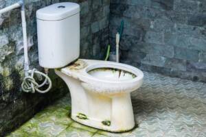 WC sporco con muffa visibile