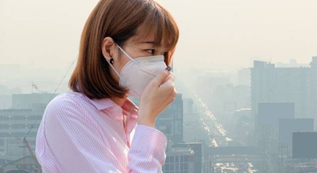 Smog in Gravidanza può provocare Asma al Nascituro