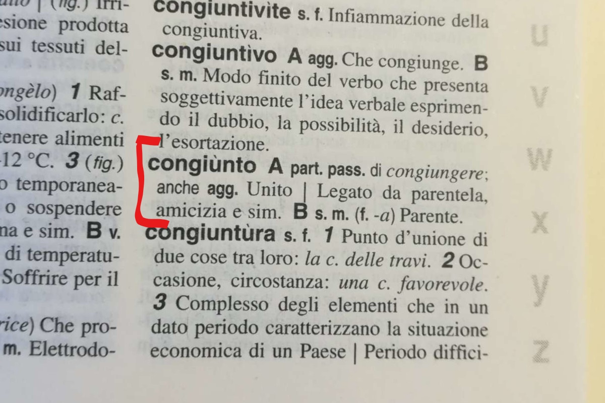 significato di congiunto