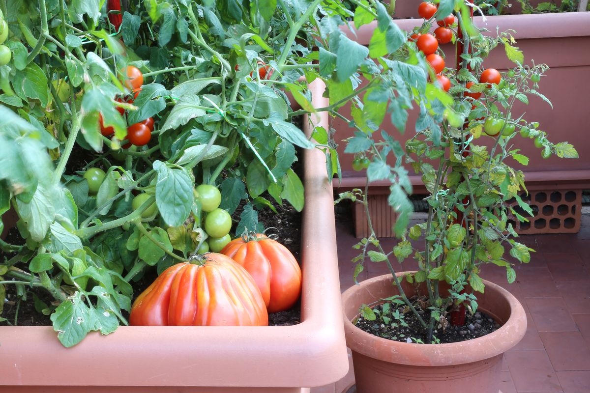 orto sul balcone