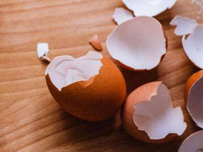 Gusci d'uovo