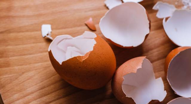 5 idee per riutilizzare i gusci d&#8217;uovo e non buttarli!